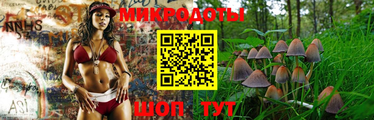как найти   Вход с VPN  Пыть-Ях  Псилоцибиновые грибы прущие грибы 